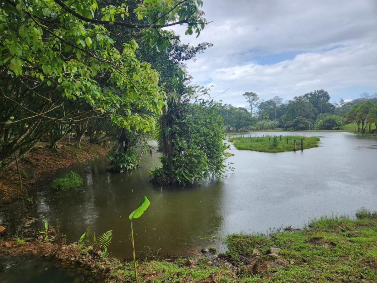 Aparthotel La Pina, Rio Celeste Zewnętrze zdjęcie